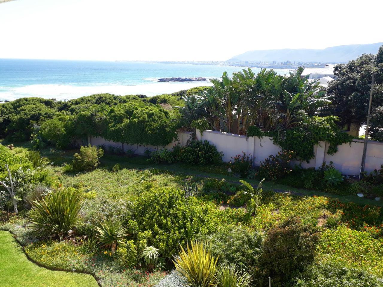 Hermanus Beach Villa Dış mekan fotoğraf